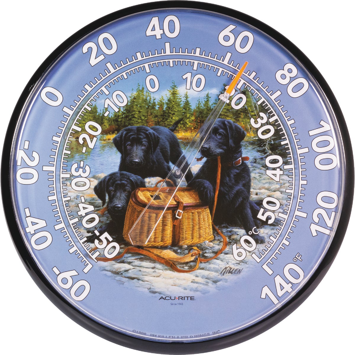 Outdoor Thermometers