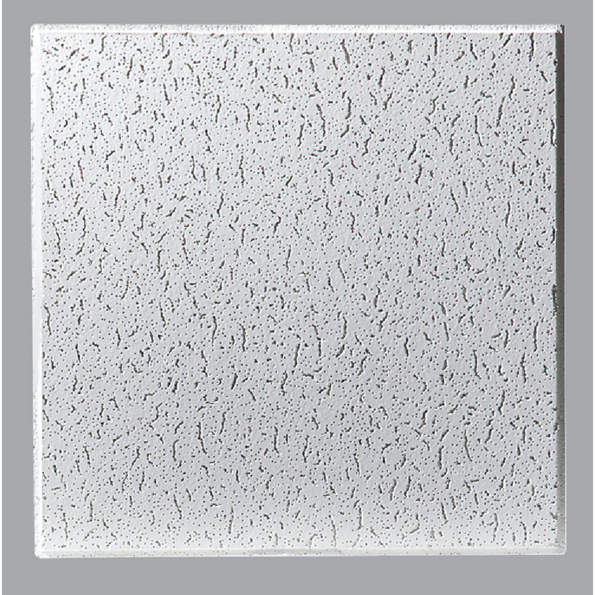 Item 113921, USG Fissured Basic Acoustical Ceiling Panels are economical, cost-effective