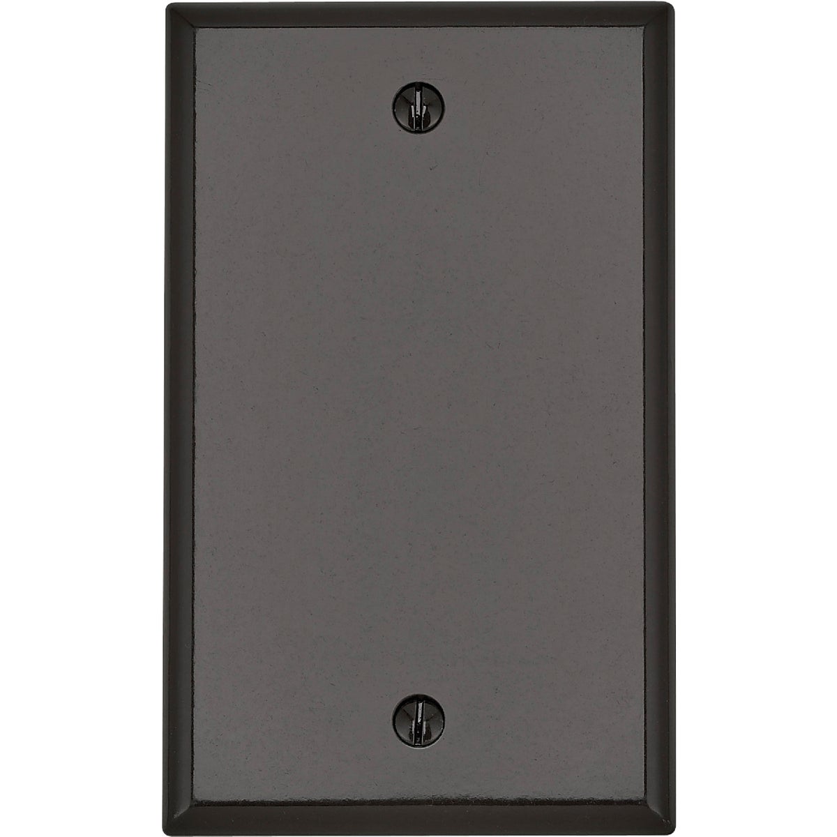 Item 514116, Traditional, thermoset blank wall plate.