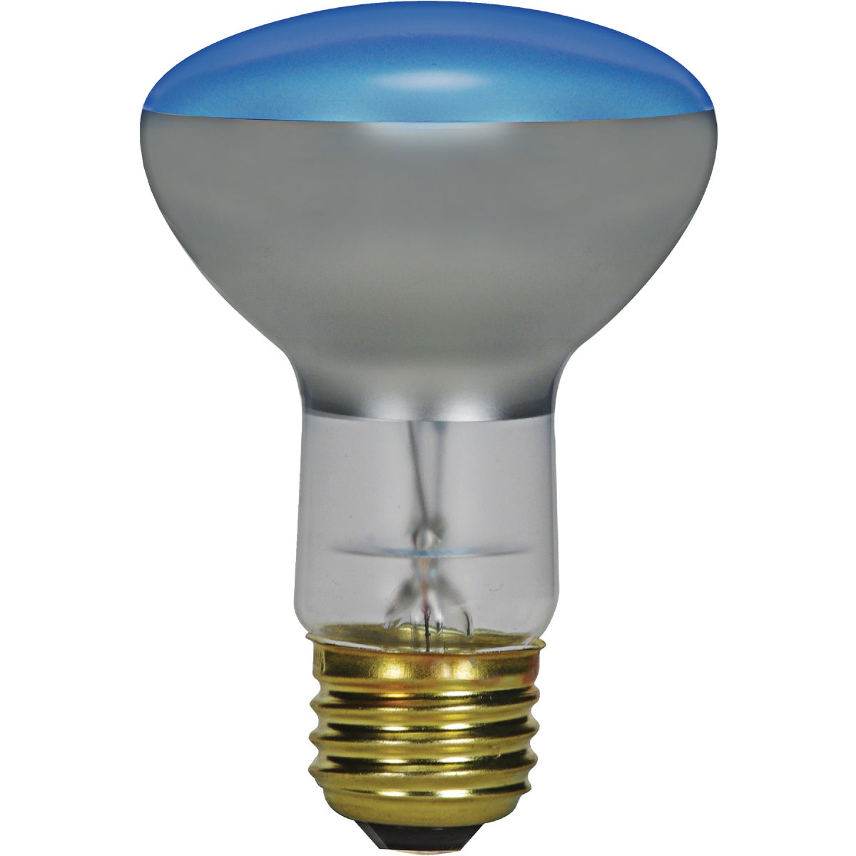 Item 516481, R25 incandescent plant light bulb with medium brass base.