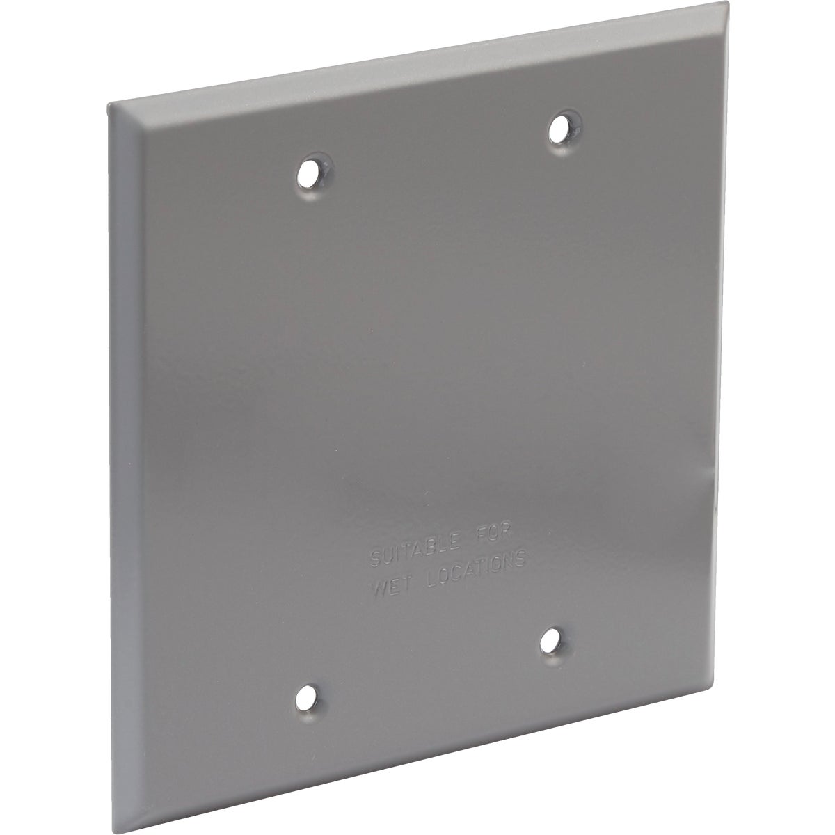 Item 535893, 2-gang blank cover, vertical or horizontal mounting.