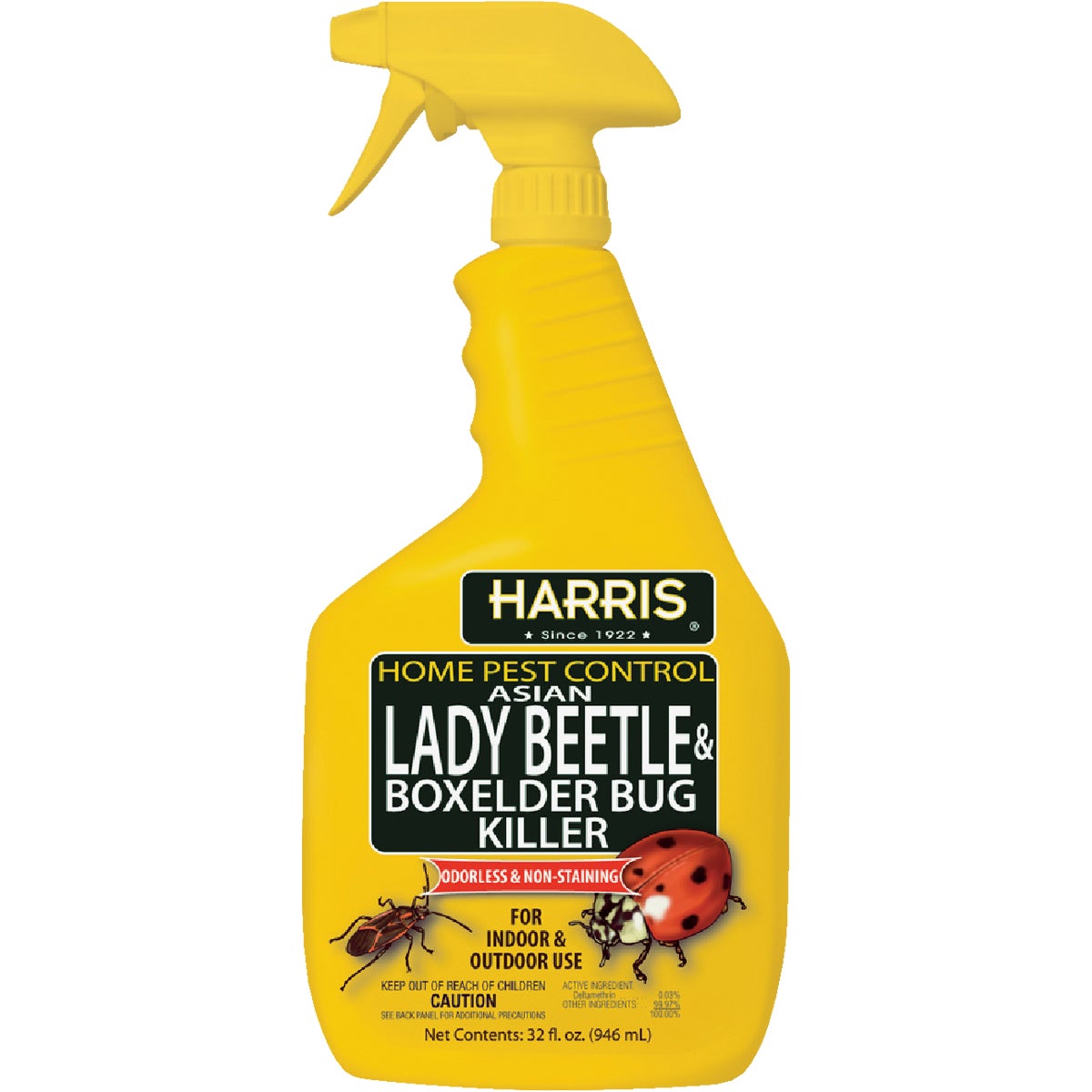 Item 702128, Ready to use Asian lady beetle killer. Kills on contact.