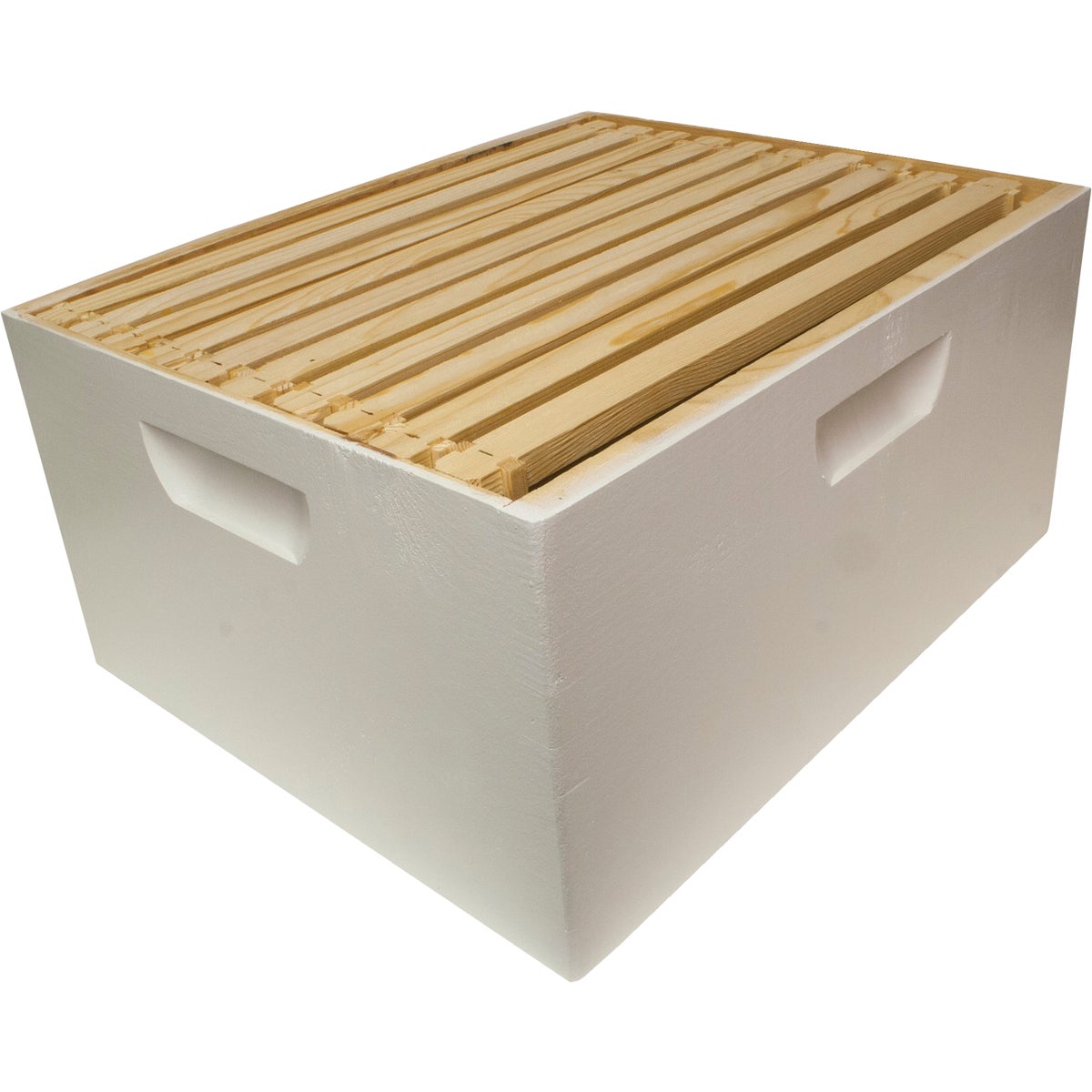 Item 704001, Painted and assembled deep box with 10 frames and plastic beeswax coated 