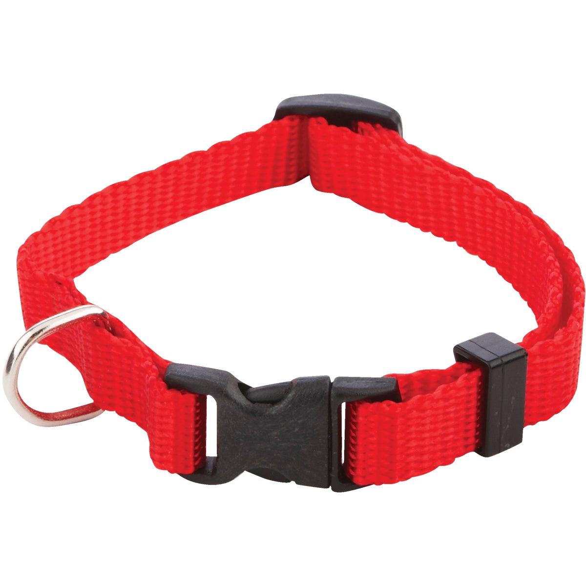 Item 805310, Adjustable, durable nylon pet collar.
