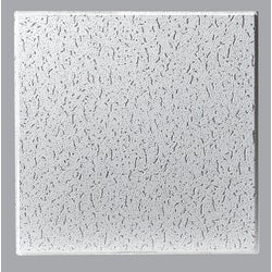 Item 113921, USG Fissured Basic Acoustical Ceiling Panels are economical, cost-effective