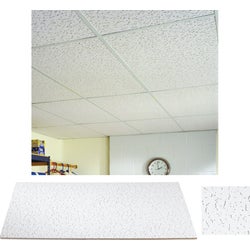 Item 113948, USG Fissured Basic Acoustical Ceiling Panels are economical, cost-effective