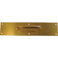 DT100068 Tell Brass Pull Plate