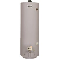 6 40 MDV Reliance Mobile Home Direct Vent Natural Gas/Liquid Propane Water Heater