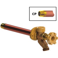 17CP-8-MH Woodford 1/2 In. SWT x 1/2 In. MIP x 3/4 In. MHT Anti-Siphon Frost Free Wall Hydrant