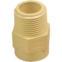 CTS 02109C 0800HA Charlotte Pipe Male Thread to CPVC Adapter