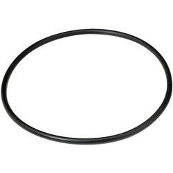 Item 432768, Replacement O-ring for whole house filter assemblies with 3/4" inlet/outlet