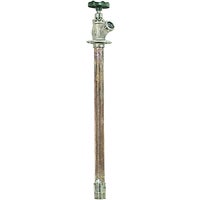 455-12LF Arrowhead Brass 1/2 In. FIP X 3/4 In. MIP Standard Frost Free Wall Hydrant