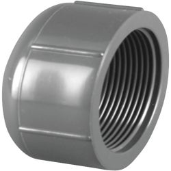 Item 462977, PVC Schedule 80. 1/2" pressure fitting. Used to cap threaded pipe.