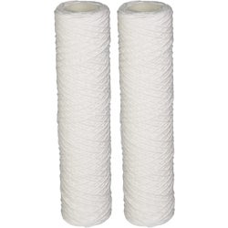 Item 487155, 2-pack whole-house water filtration replacement cartridge.