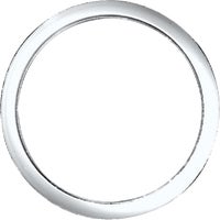 36660B Danco Poly Slip-Joint Washer