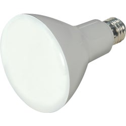 Item 501901, Long life LED flood lamp with the latest dimming capabilities.