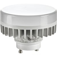 000-9855-LED Leviton GU24 Squat Base LED Special Purpose Light Bulb