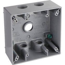 Item 502677, 2 gang box with lugs, 2 inches deep with 5 outlets, 1/2-inch NPT (National 