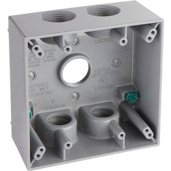 Item 502685, 2 gang box with lugs, 2 In. deep with 5 outlets, 3/4 In.