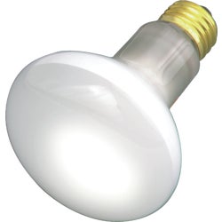 Item 503707, R20 incandescent floodlight light bulb with medium brass base.