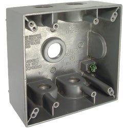 Item 510351, 2 gang box with lugs, 2 inches deep with 5 outlets, 1/2-inch NPT(National 