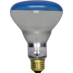 Item 516917, R20 incandescent plant light bulb with medium brass base.