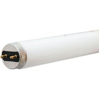 543363 Philips ALTO T8 Medium Bi-Pin Fluorescent Tube Light Bulb