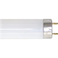 545160 Philips ALTO T8 Medium Bi-Pin Fluorescent Tube Light Bulb