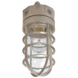 Item 538248, Vapor tight floodlight provides an indoor/outdoor solution in applications 