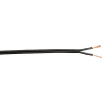 600006608 Coleman Cable Lamp Cord