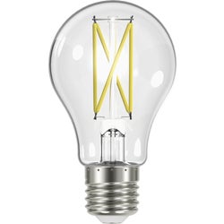 Item 553728, A19 LED (light emitting diode) light bulb with a traditional incandescent 