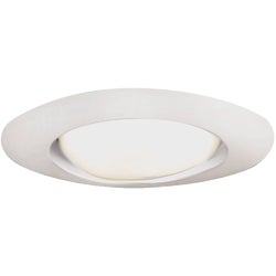 Item 557412, Trim for use with recessed fixtures. 6 inch inside diameter.