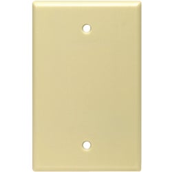 Item 559814, Smooth thermoset blank wall plate.