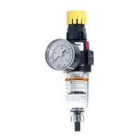 24-243 Tru-Flate Mini Filter/Pressure Regulator