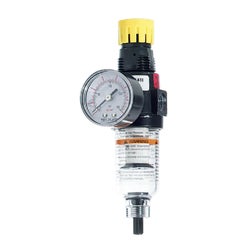 Item 583561, Gives accurate pressure regulation with maximum water and dirt separation.