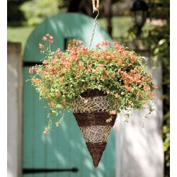 Item 701518, Hanging plant basket made of black seagrass and natural grass.