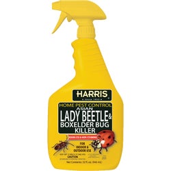 Item 702128, Ready to use Asian lady beetle killer. Kills on contact.