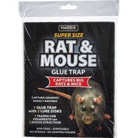 BLKRAT-1 Harris Rat & Mouse Trap