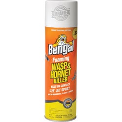 Item 704745, Foaming wasp &amp; hornet insecticide.