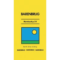 25414 Barenbrug Coated Kentucky 31 Tall Fescue Grass Seed grass seed