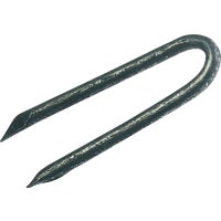 34HGPNS Grip-Rite Hot Galvanized Poultry Staple