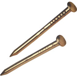Item 728653, Brass Escutcheon Pins feature a smooth shank with a large half-round, 
