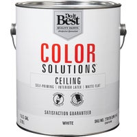 CS46W0840-16 Do it Best Color Solutions Latex Self-Priming Flat Ceiling Paint