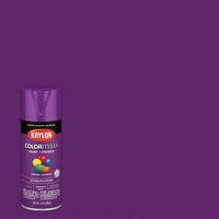 K05536007 Krylon ColorMaxx Spray Paint