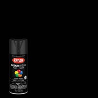 K05579007 Krylon ColorMaxx Spray Paint