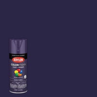 K05533007 Krylon ColorMaxx Spray Paint
