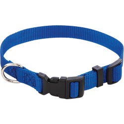Item 841455, Adjustable durable nylon dog collar.