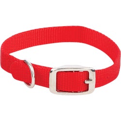 Item 841471, Durable nylon dog collar.